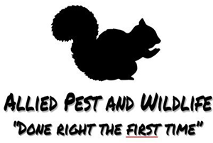 Allied Pest and Wildlife